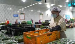 <b><b>同志的高尚风采、丰硕带领经验、科学思惟方式</b></b>