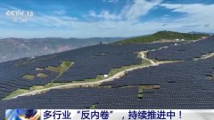 <b>因竞相降价压缩了利润空间</b>