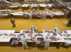 <b>锡林郭勒羊确定了“1+3+N”的品牌联动成长模式—</b>